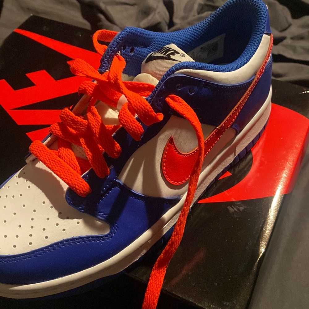 Nike dunks brand new never worn